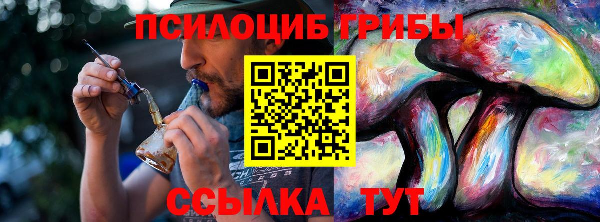 Галлюциногенные грибы Psilocybine cubensis Сергиев Посад